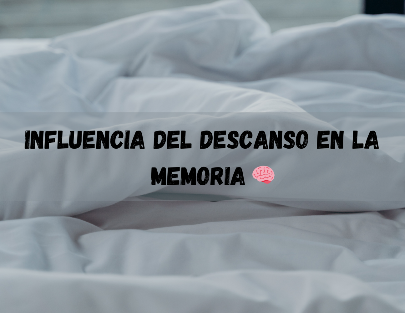 La influencia del descanso en la memoria