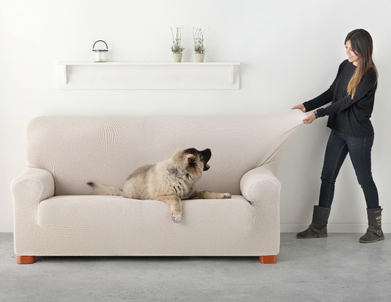 MANTENER LIMPIAS LAS FUNDAS DE SOFÁ