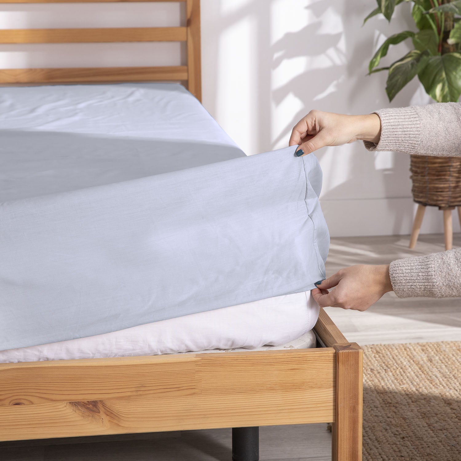 Sabana Bajera Dolce Economic Niebla